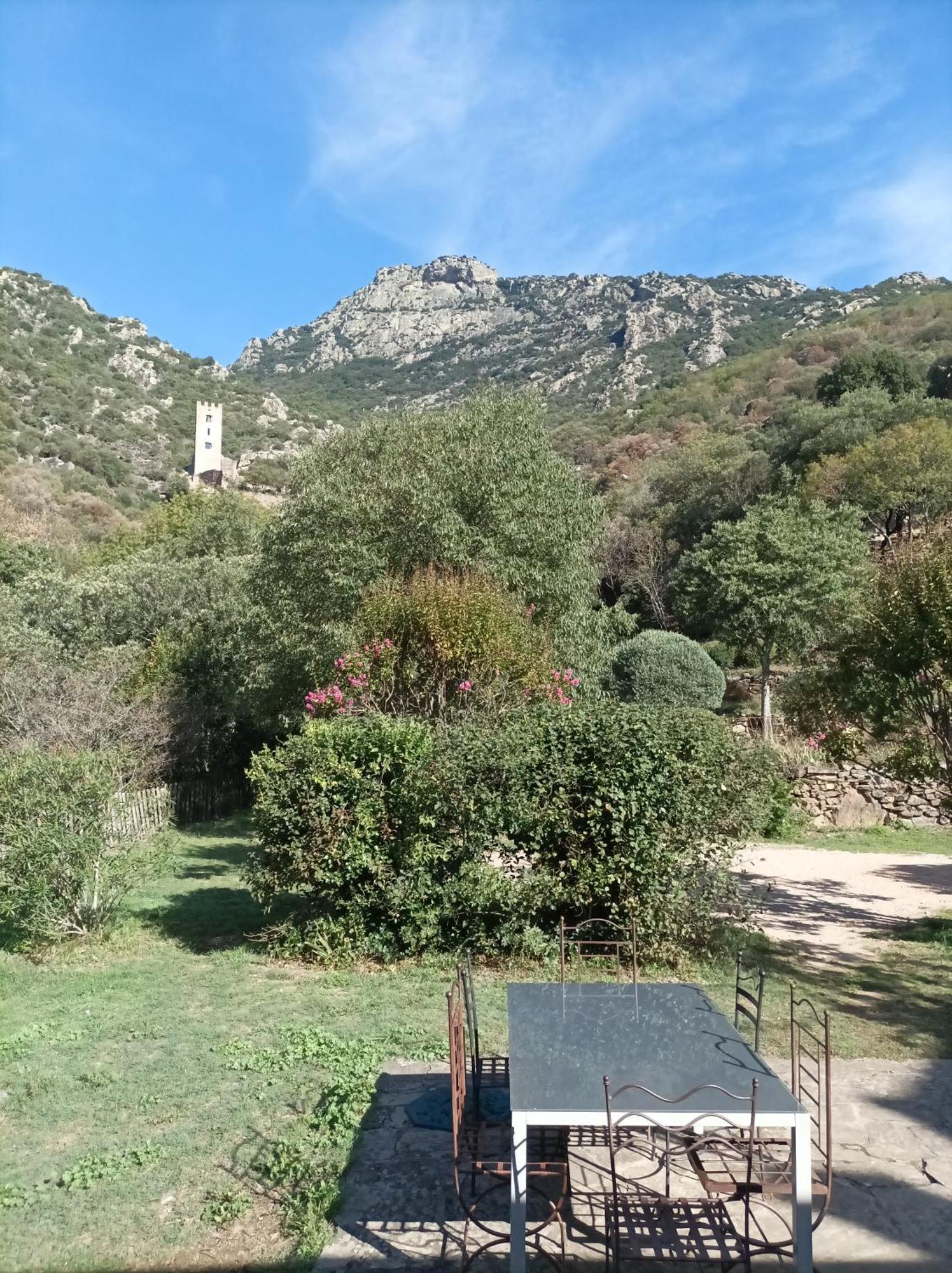 Chateau De Colombieres Sur Orb Kültér fotó