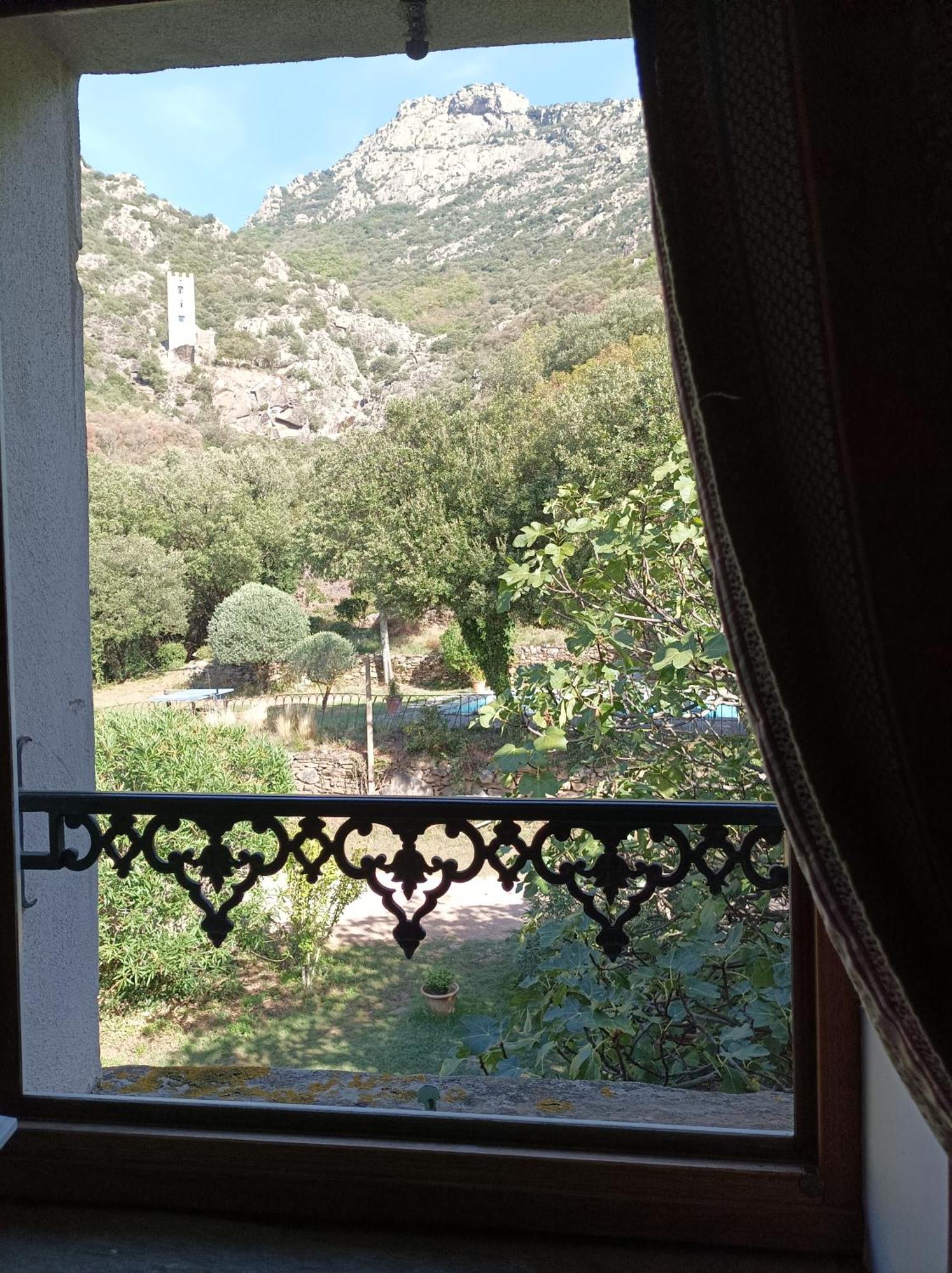 Chateau De Colombieres Sur Orb Kültér fotó