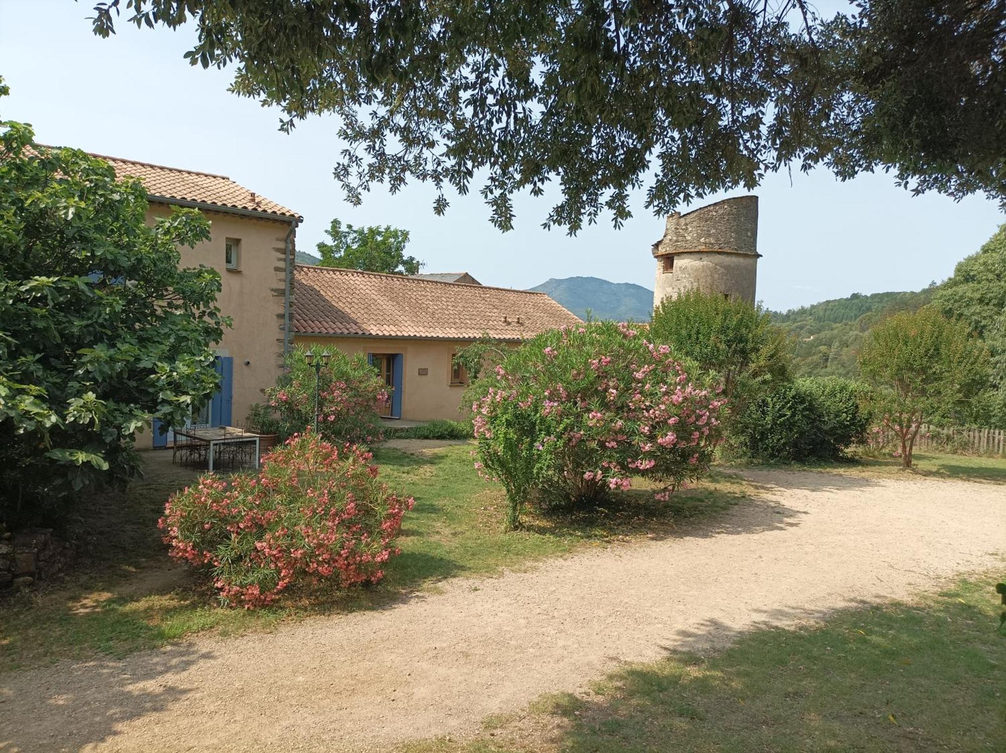 Chateau De Colombieres Sur Orb Kültér fotó
