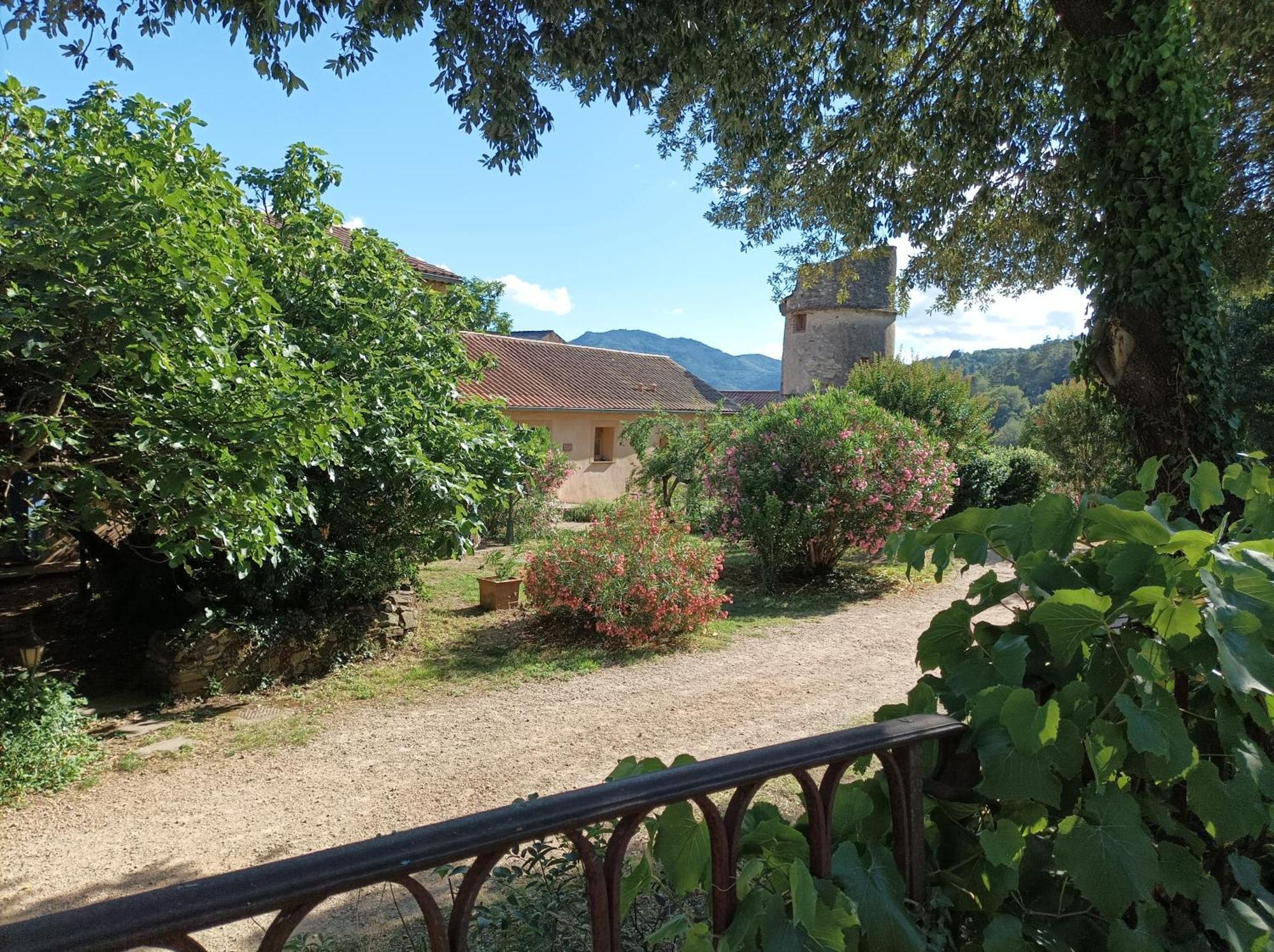 Chateau De Colombieres Sur Orb Kültér fotó