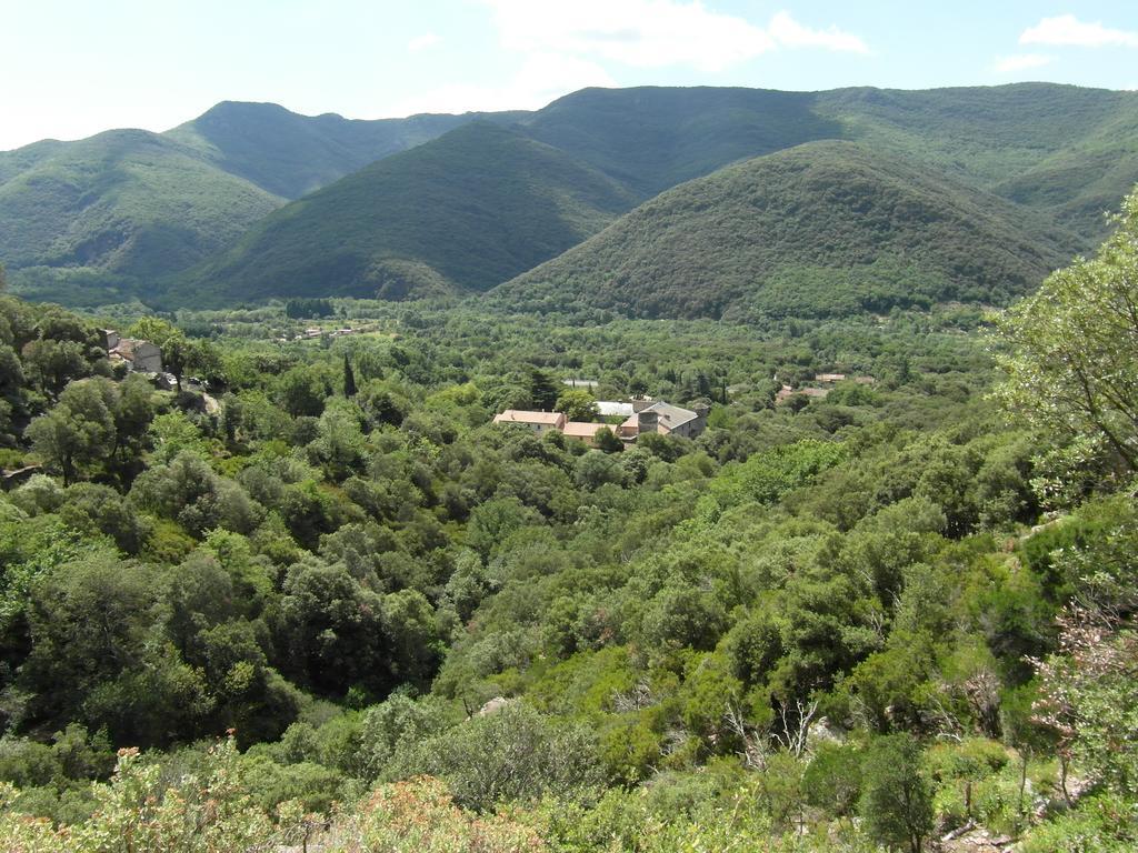 Chateau De Colombieres Sur Orb Kültér fotó